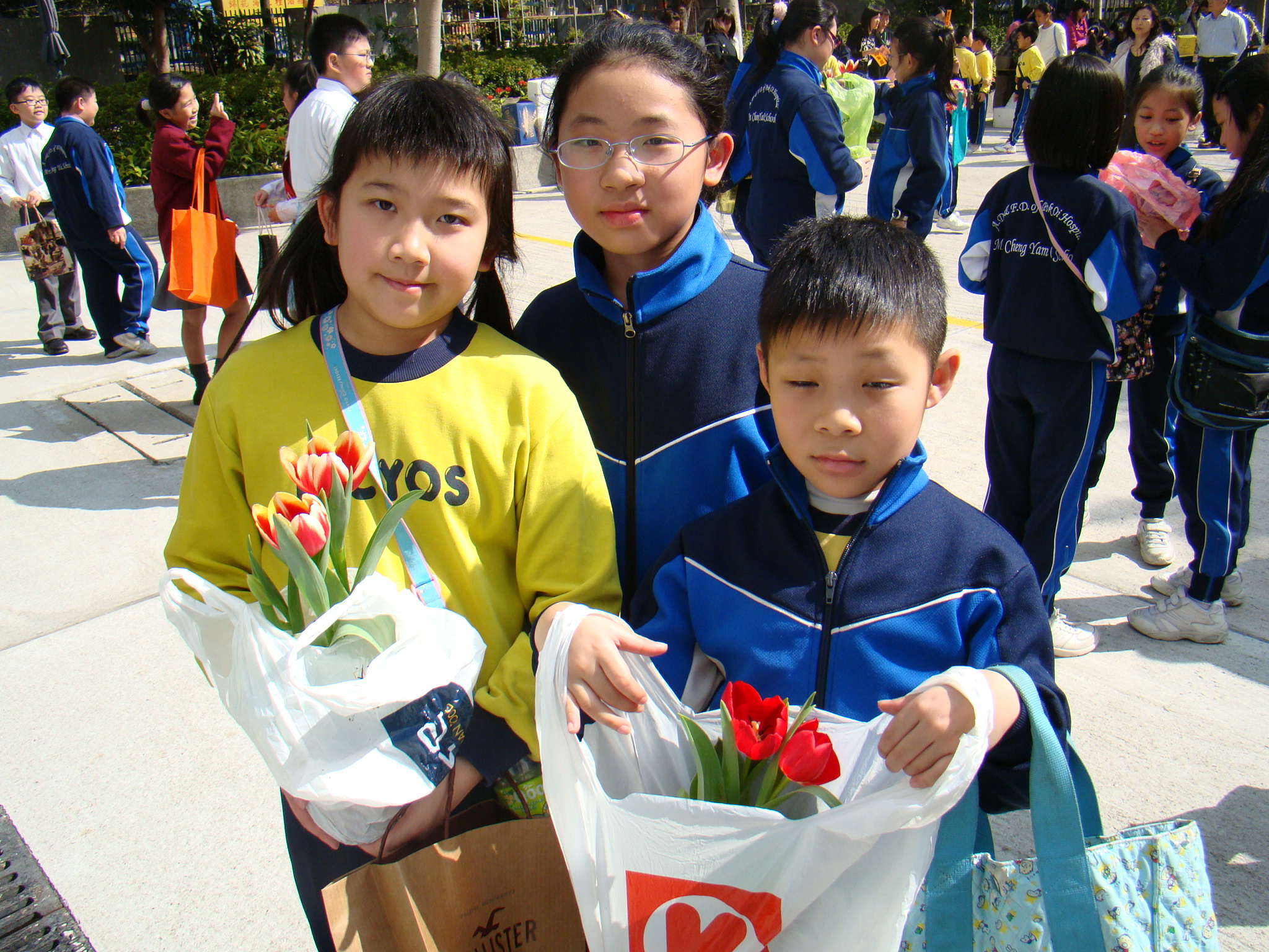Image 38 of 70  -  1382 kB